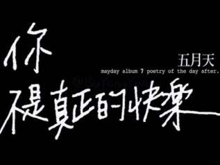 你不是真正的快乐吉他谱_五月天_C调指法弹唱谱