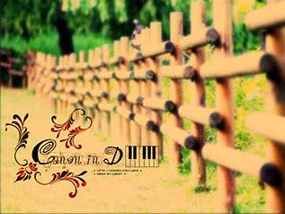 卡农指弹吉他谱_简单版指弹谱_独奏六线谱